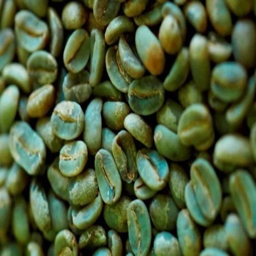 PB Grade Washed Robusta Coffee Beans