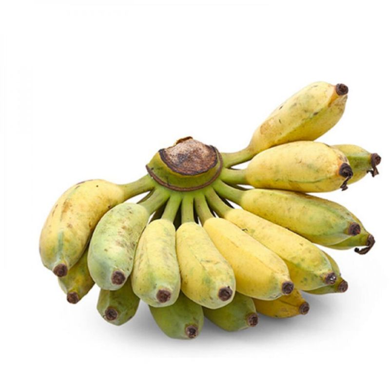 Farm Bananas