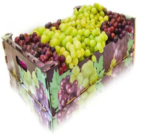 Grapes Corrugated Boxes