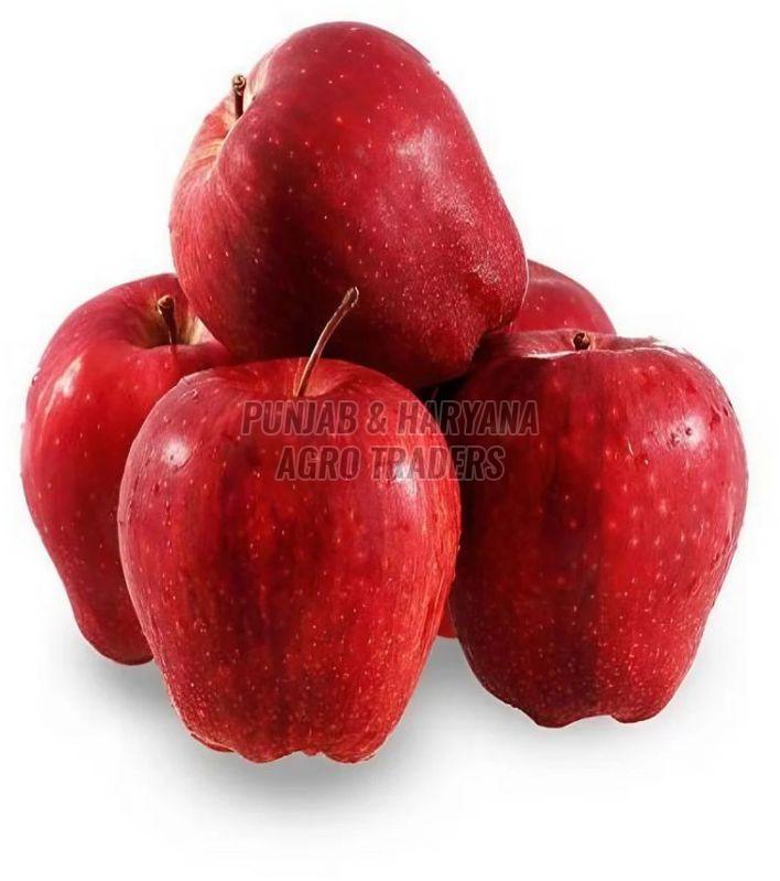 A Grade Fresh Kinnaur Apple