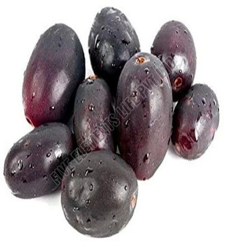 A Grade Black Java Plum