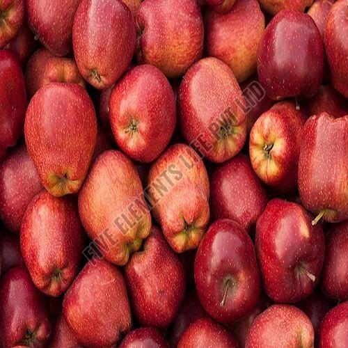 A Grade Fresh Apple