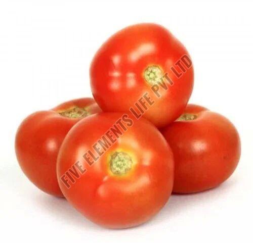 A Grade Fresh Red Tomato