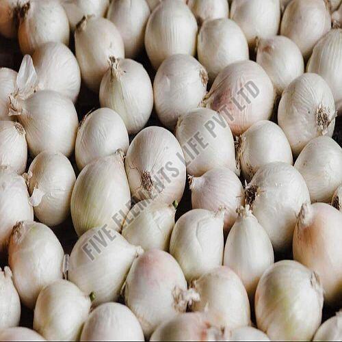 A Grade Fresh White Onion