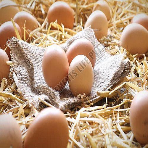 Brown Desi Chicken Egg