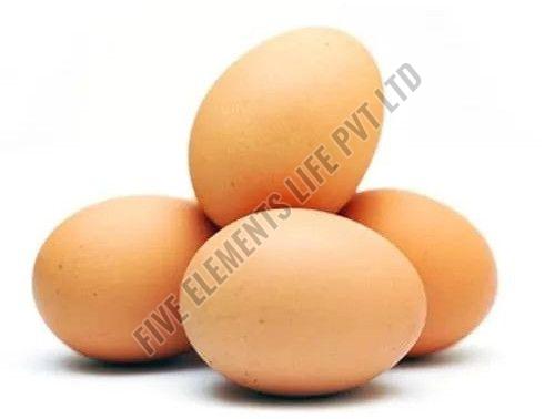Brown Kadaknath Chicken Egg
