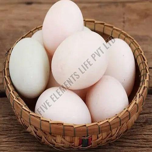 Duck White Egg