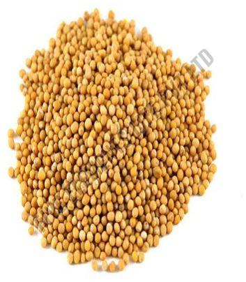 Yellow Mustard Seeds