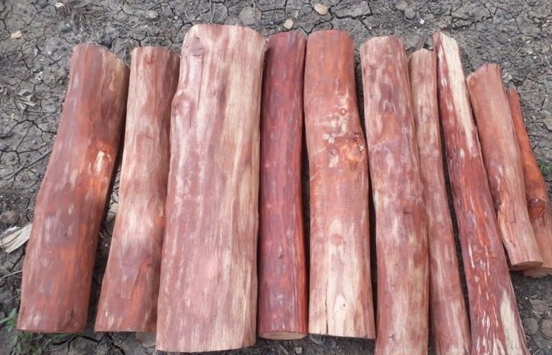 Round Red Sandalwood Logs