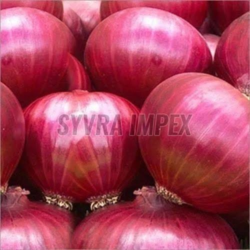 A Grade Red Onion