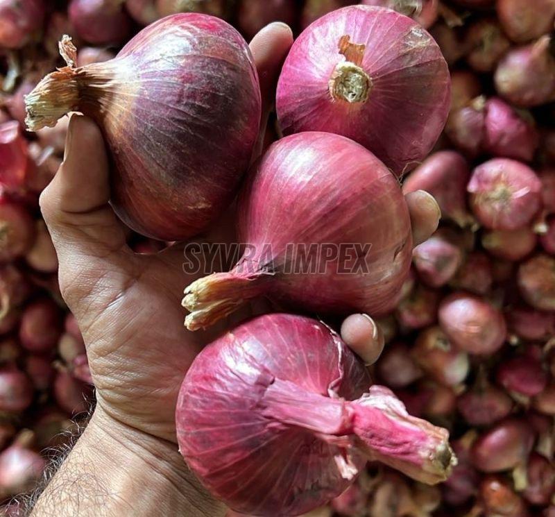 Fresh Nashik Red Onion