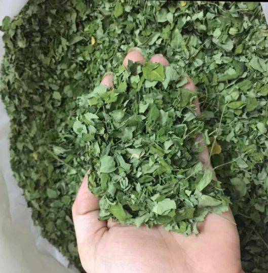 Dried Moringa Leaves
