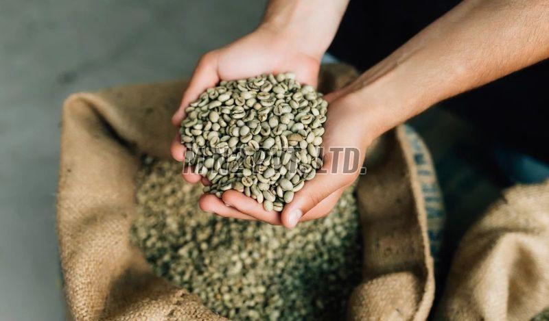 Dried Green Coffee Beans
