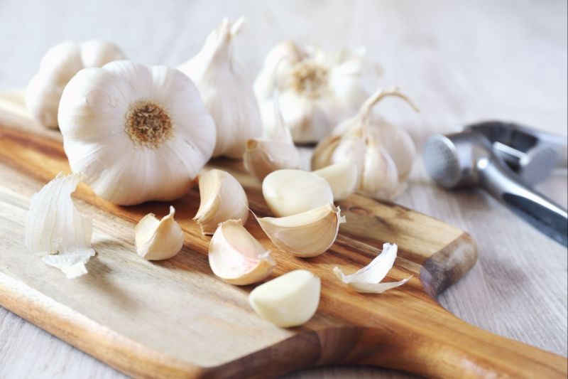 Fresh White Garlic