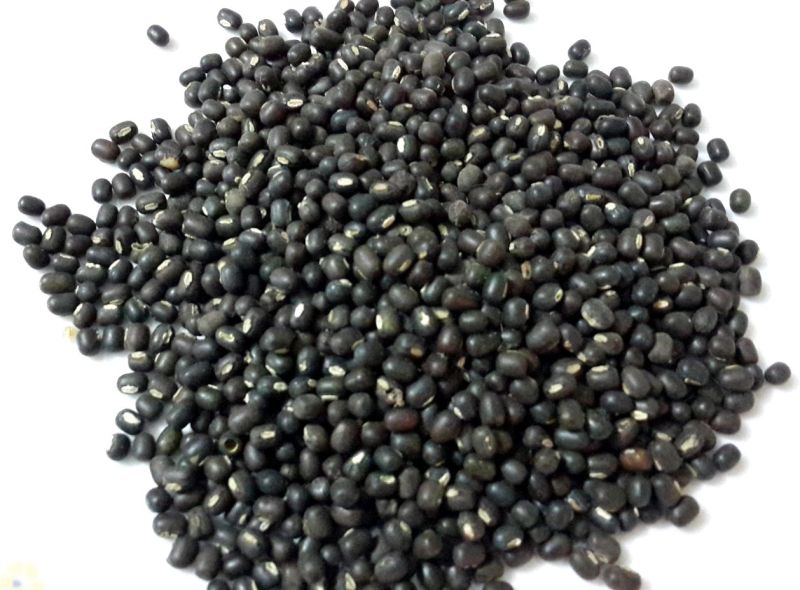 Indian Urad Dal