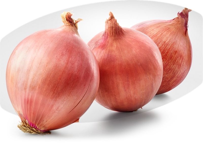 Organic Pink Onion
