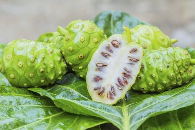 Noni Fruit