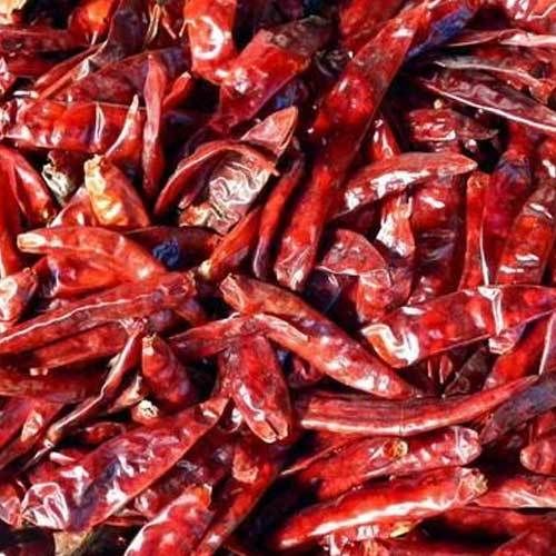 Dry Red Chilli