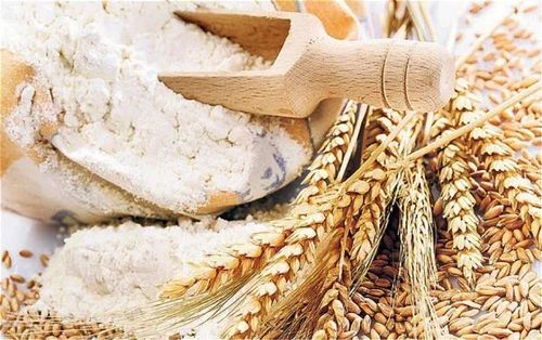 Pure Wheat Flour