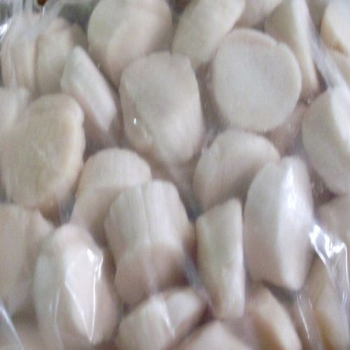 White Frozen Scallop