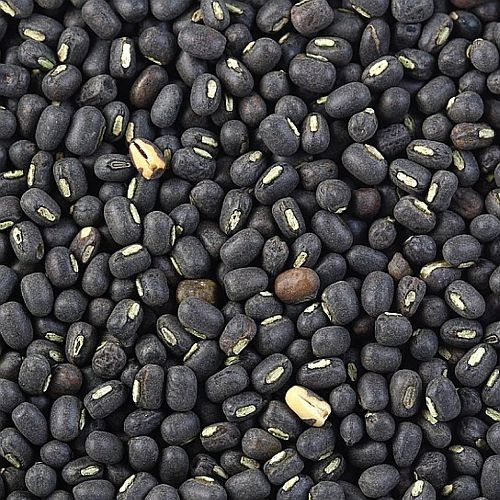 Whole Black Urad Dal