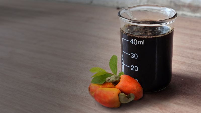 Mono Saturated Cashew Nut Shell Liquid