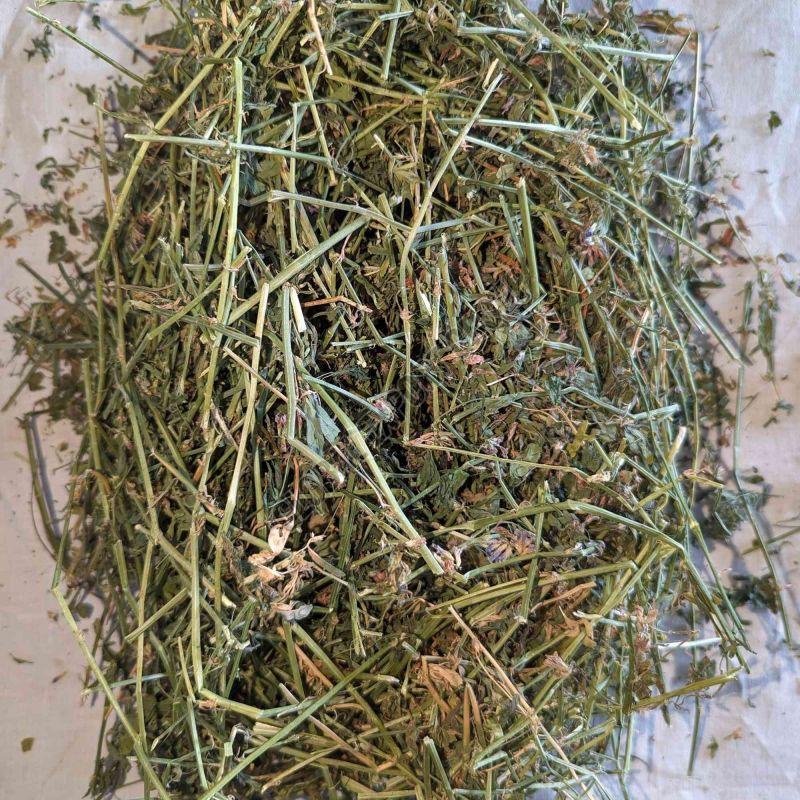 Lucerne Hay
