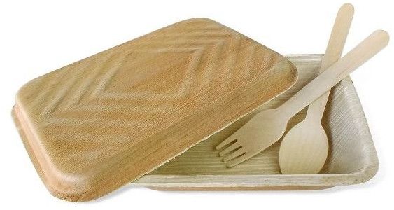 Areca Palm Leaf Food Container