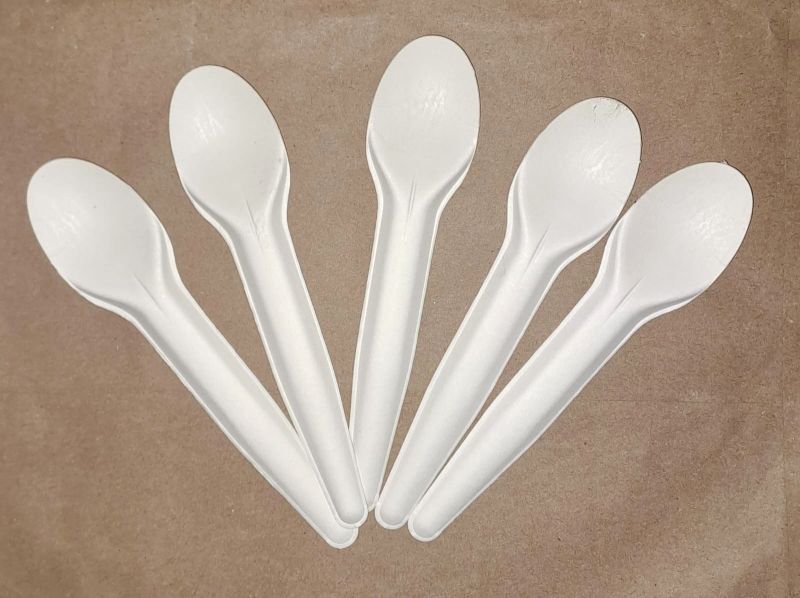 Sugarcane Bagasse Spoon
