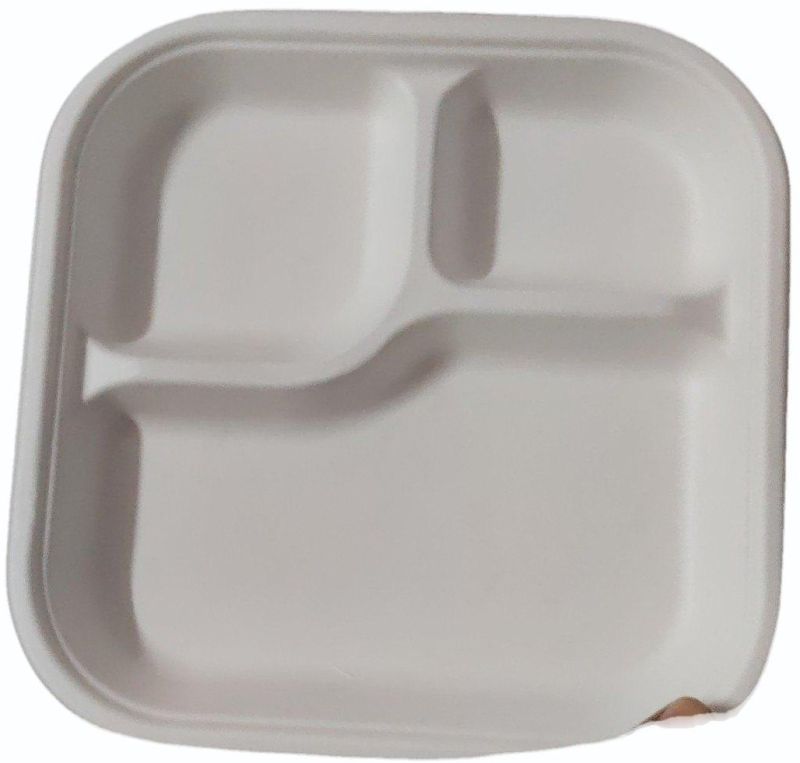Sugarcane Bagasse Square Compartment Plate