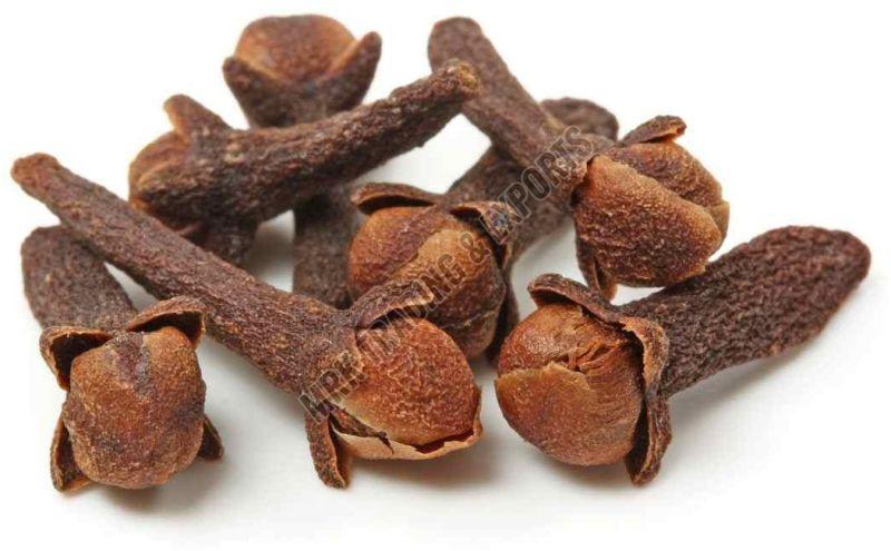 Dry Clove Seeds