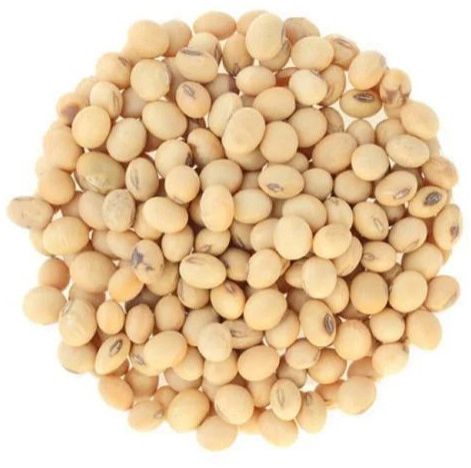 Yellow Soybean Seeds