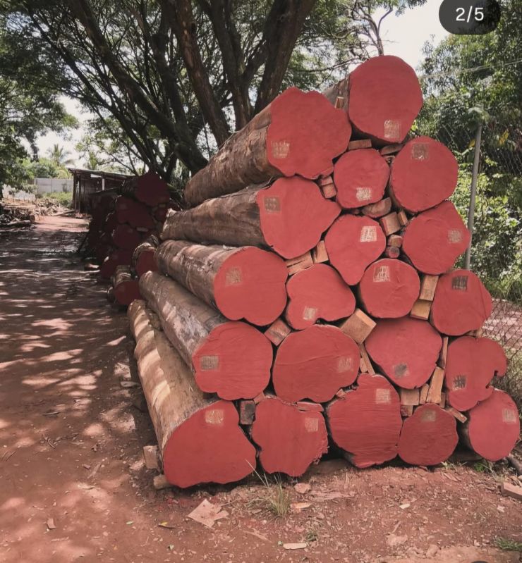 Wood Logs