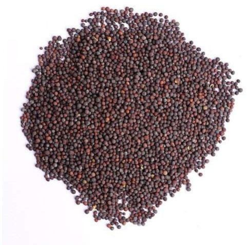 Brown Rai Whole Seed