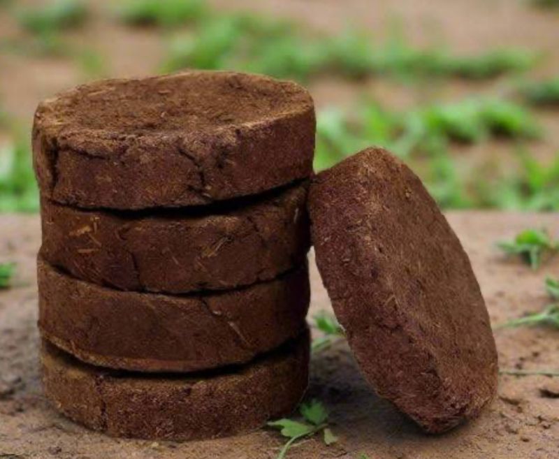 Cow Dung Cake