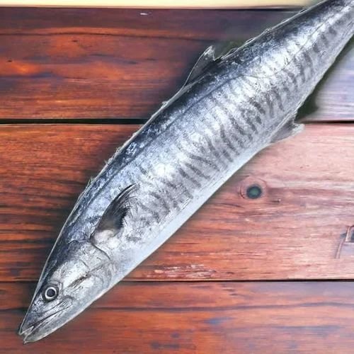 Fresh Whole Seer Fish