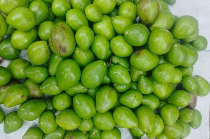 Fresh Fuerte Avocado