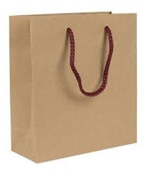 Plain Rope Handle Paper Bag