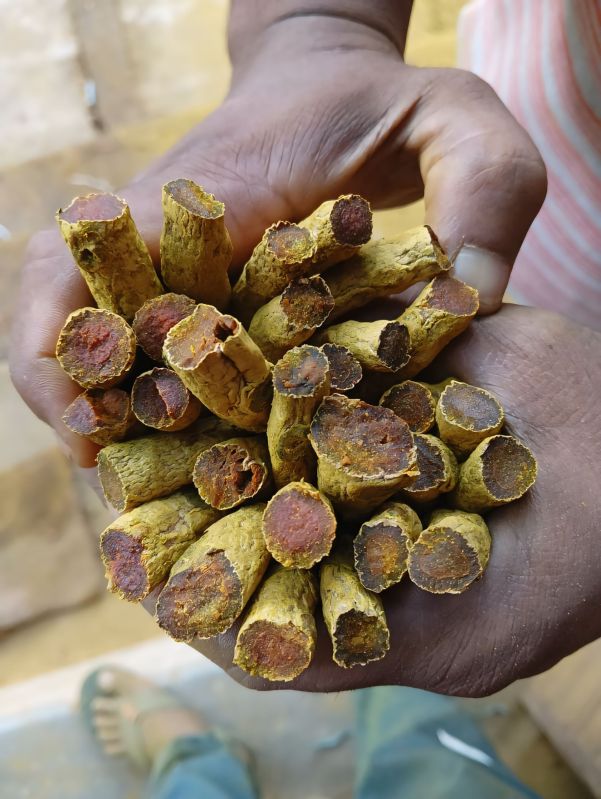 Dry Turmeric Finger