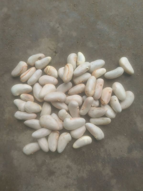Natural Jackfruit Seeds