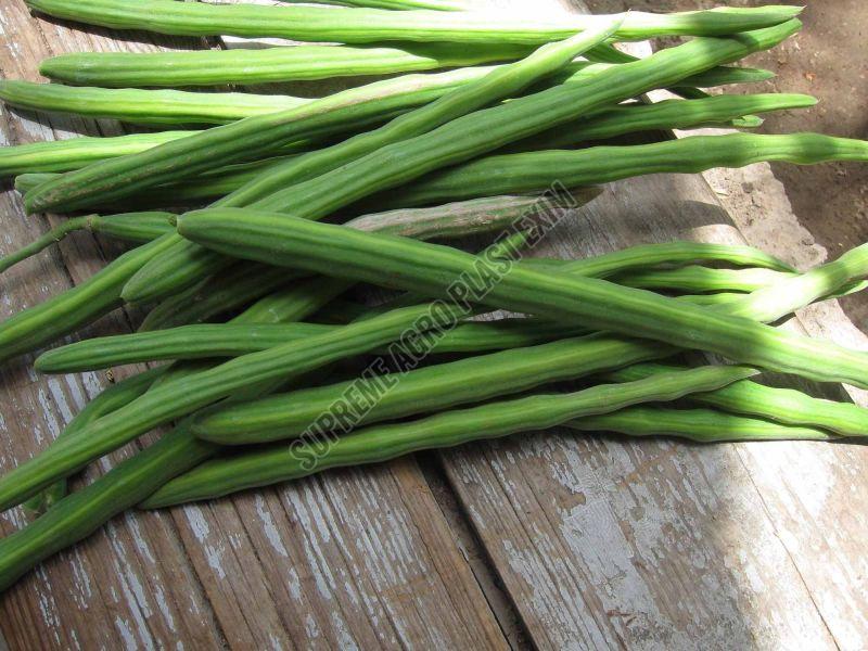 A Grade Fresh Drumsticks