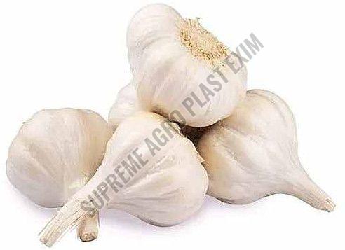A Grade Fresh Garlic