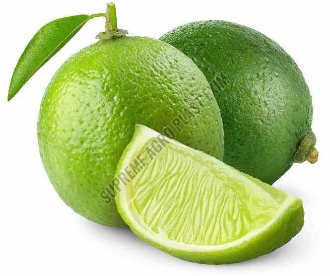 A Grade Fresh Green Lemon