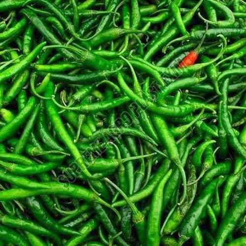 G4 Indian Green Chilli