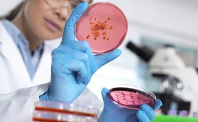 Bioburden Testing Services