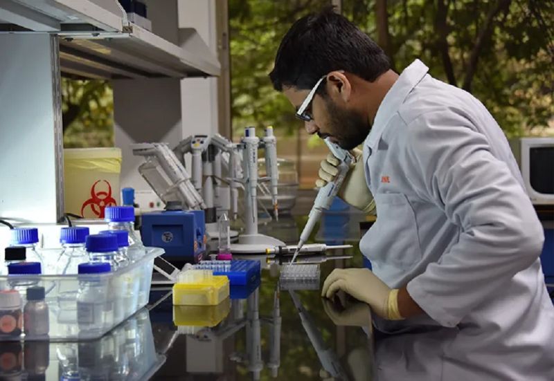 Toxicokinetic and Bioanalytical Services