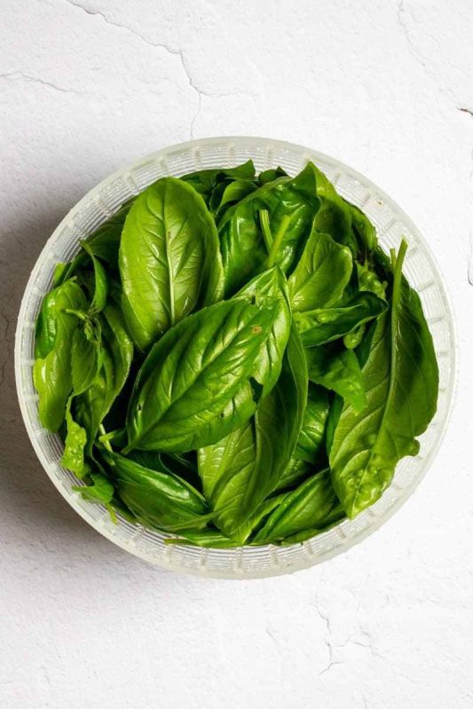 Frozen Basil Leaves