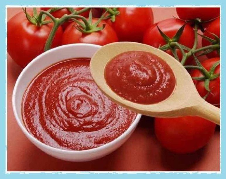 Tomato Puree Paste