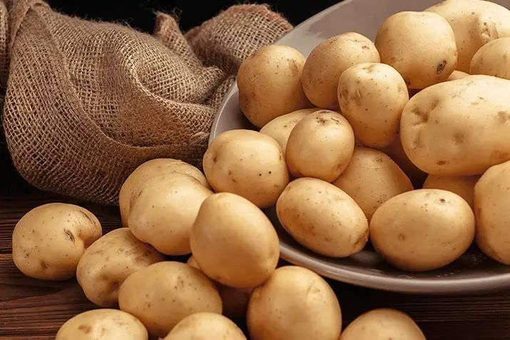 A Grade Natural Fresh Potato