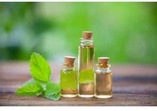 Brahmi Essential Oil